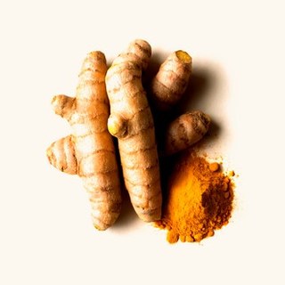 Fresh turmeric root and golden turmeric powder