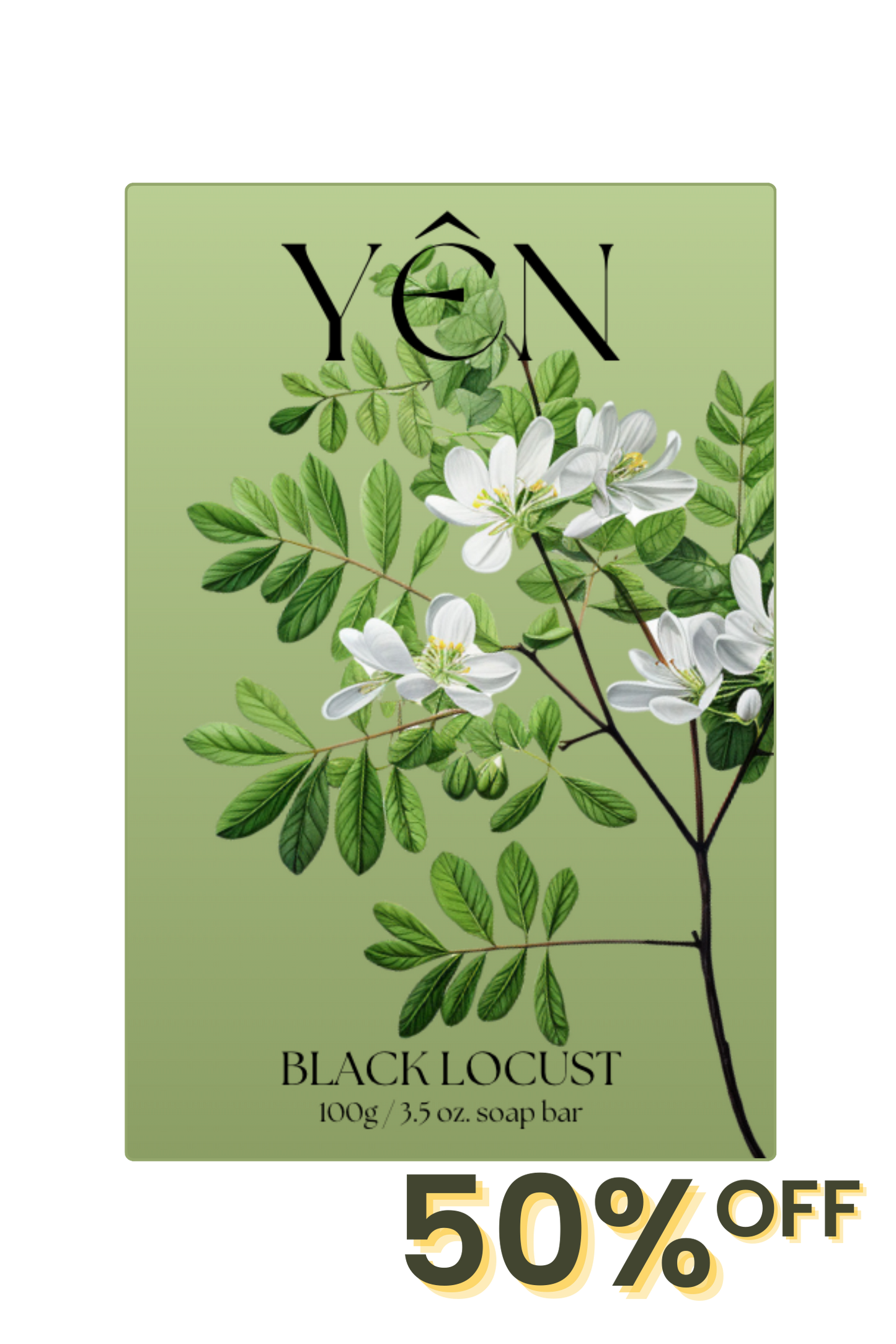 Black Locust